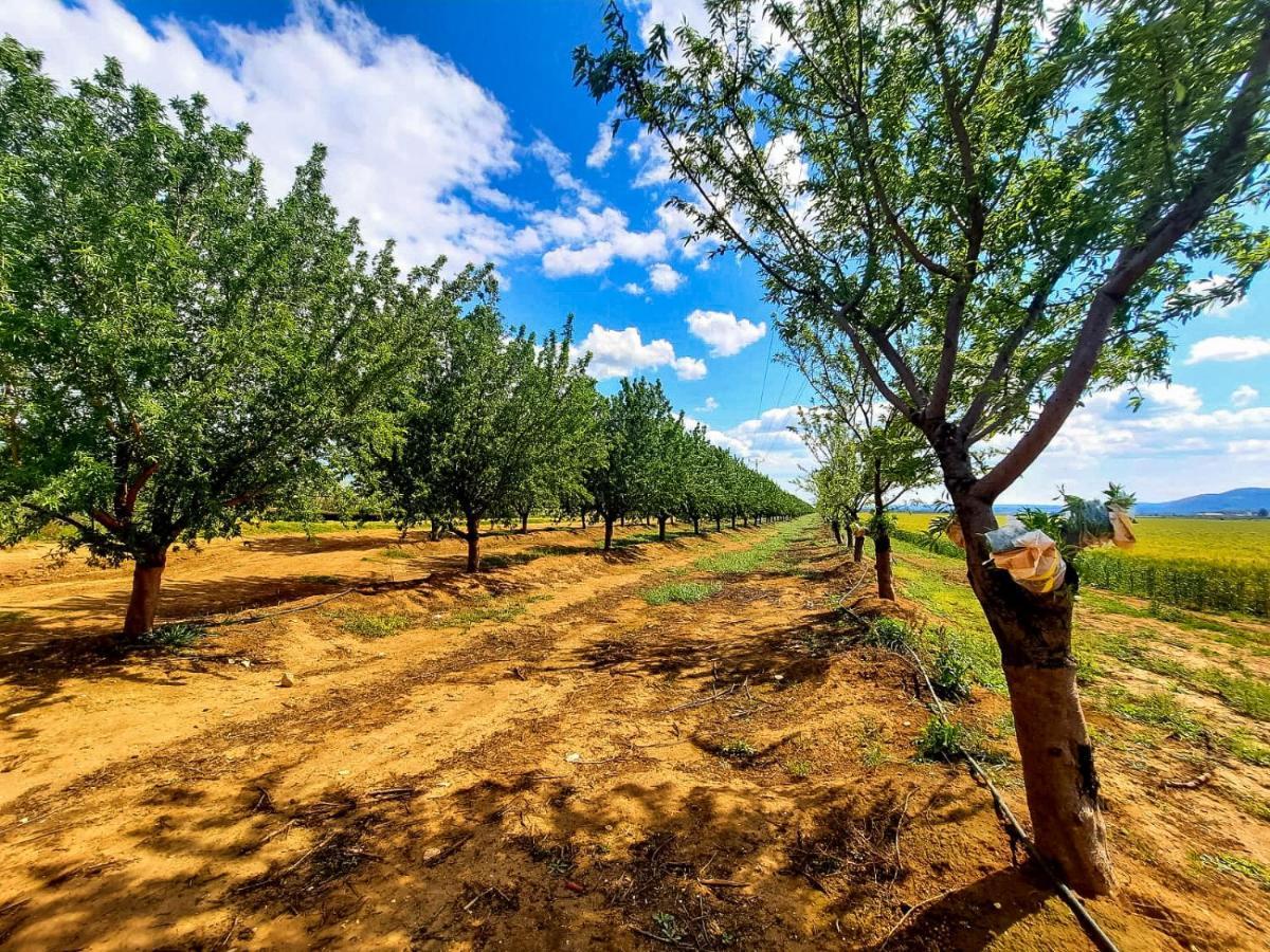 בית קסום בשדה נחמיה Sede Nehemya Exterior foto